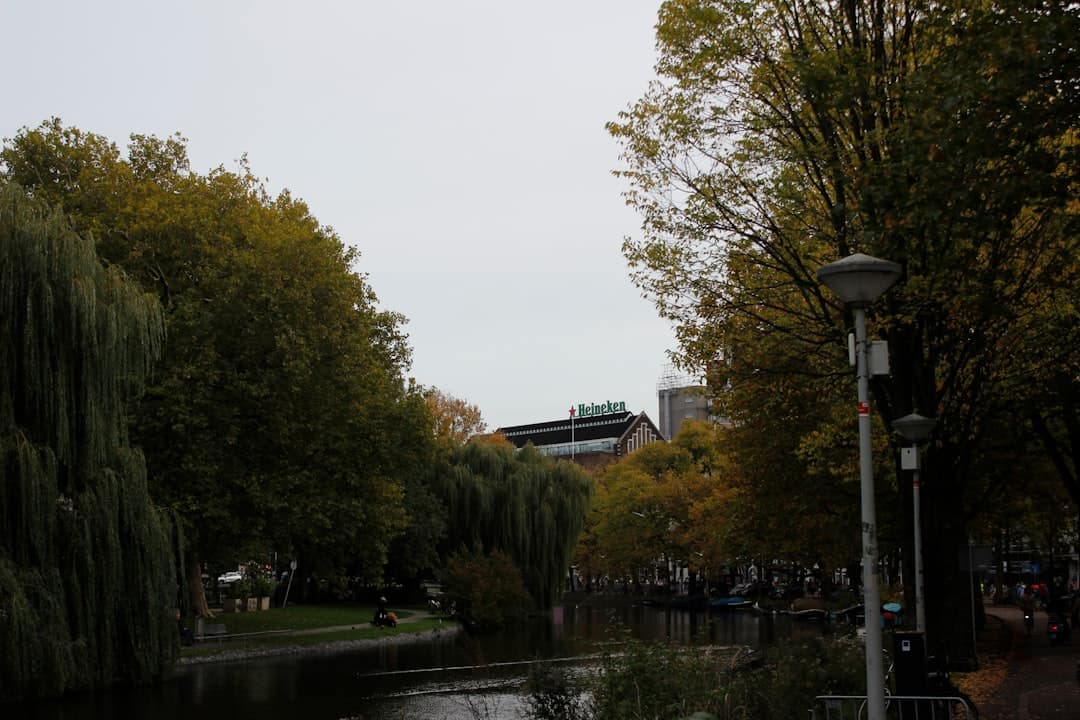 Heineken Experience