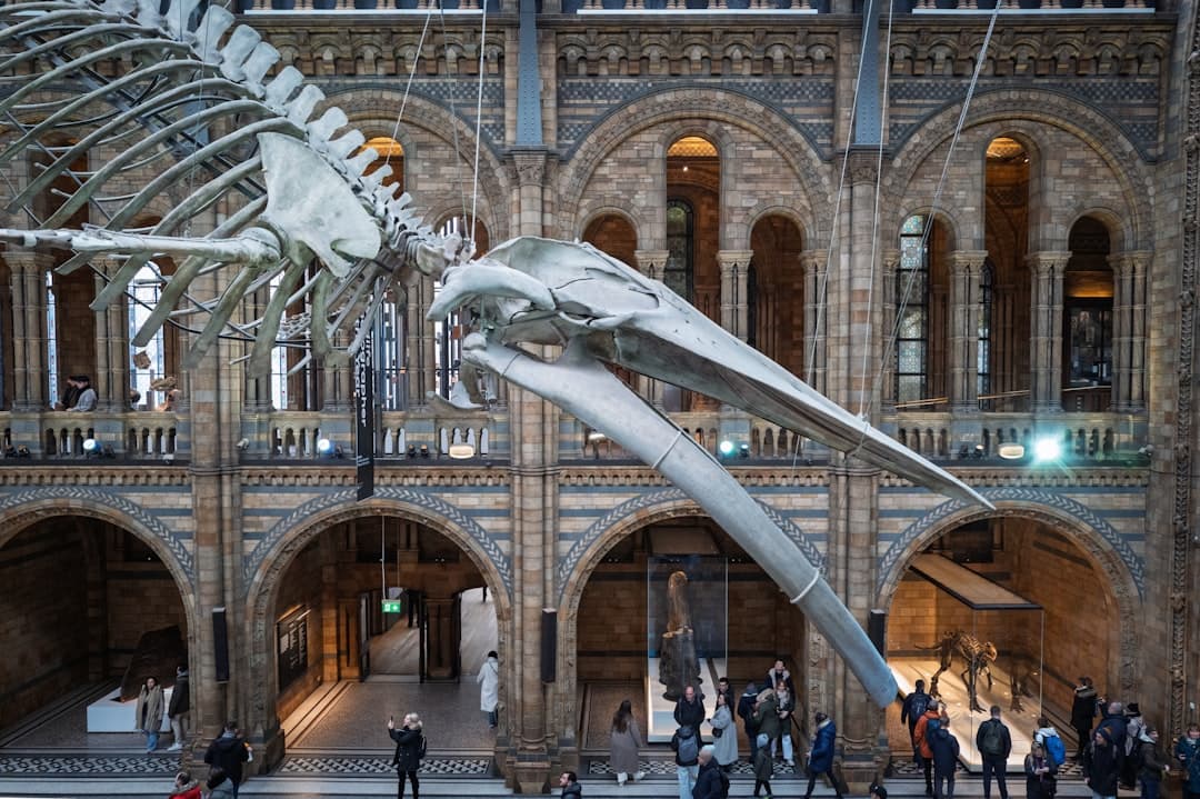 Natural History Museum