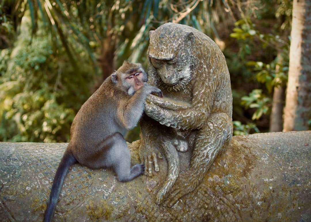 Sacred Monkey Forest
