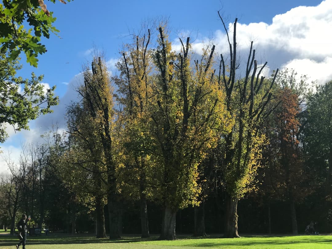 Vondelpark